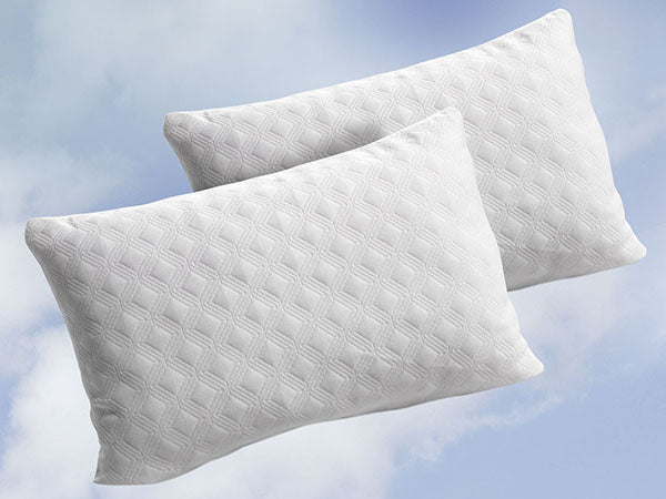 2 ALMOHADAS
